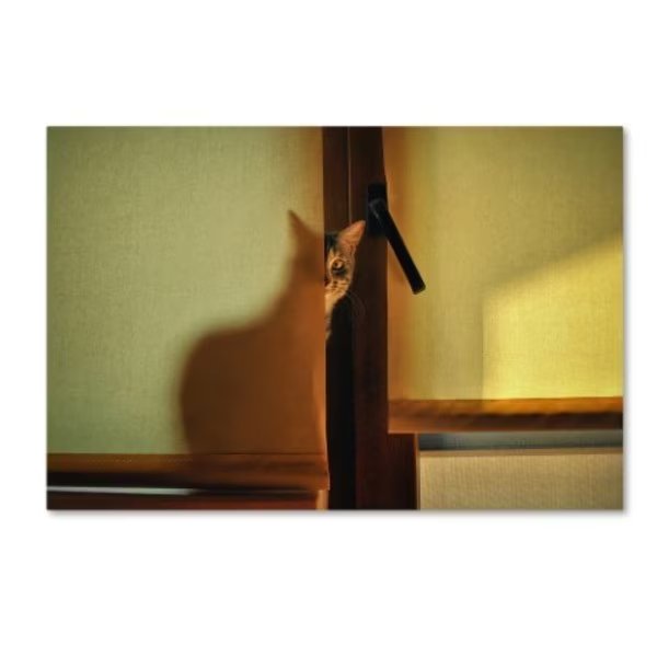 Knartist 'A Bit Of Maya' Canvas Art, 30x47, Trademark Fine Art, Mfr#: 1X00290-C3047GG